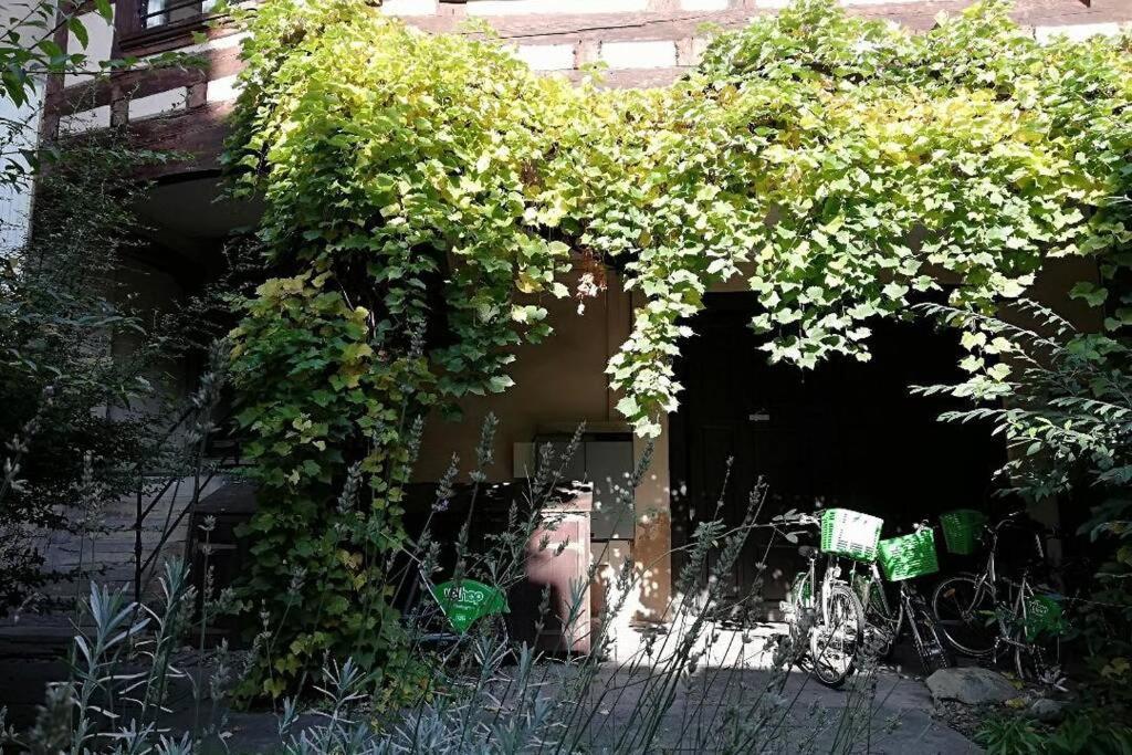 ストラスブールLa Chaumiereアパートメント エクステリア 写真